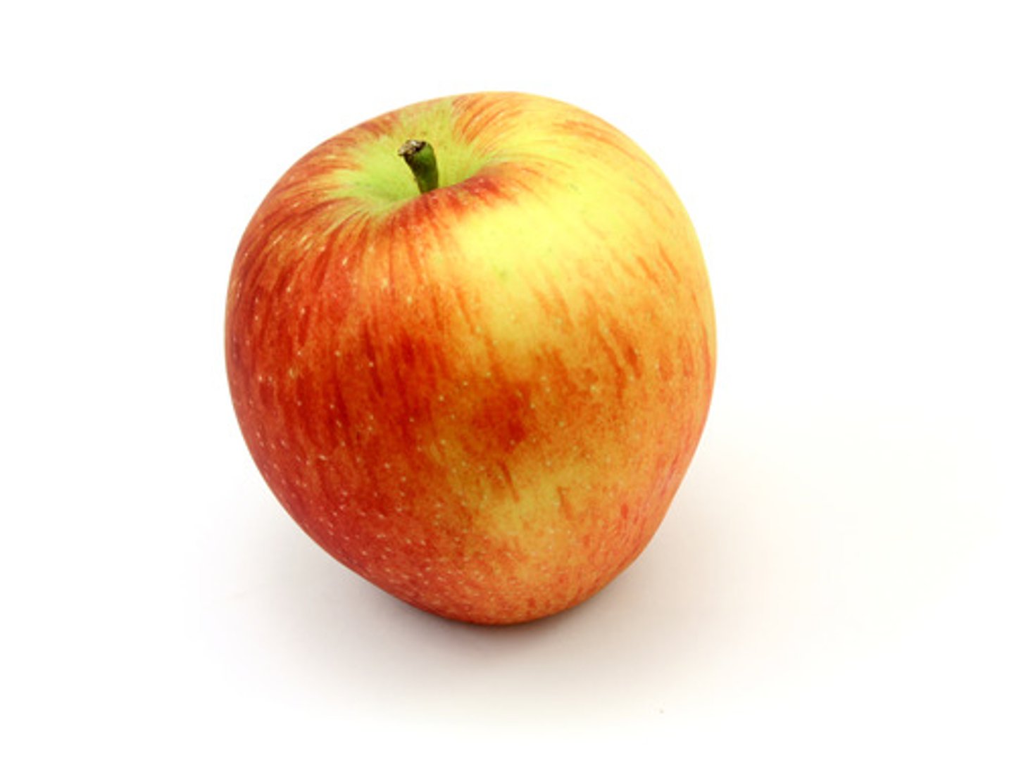 <p>the apple</p>
