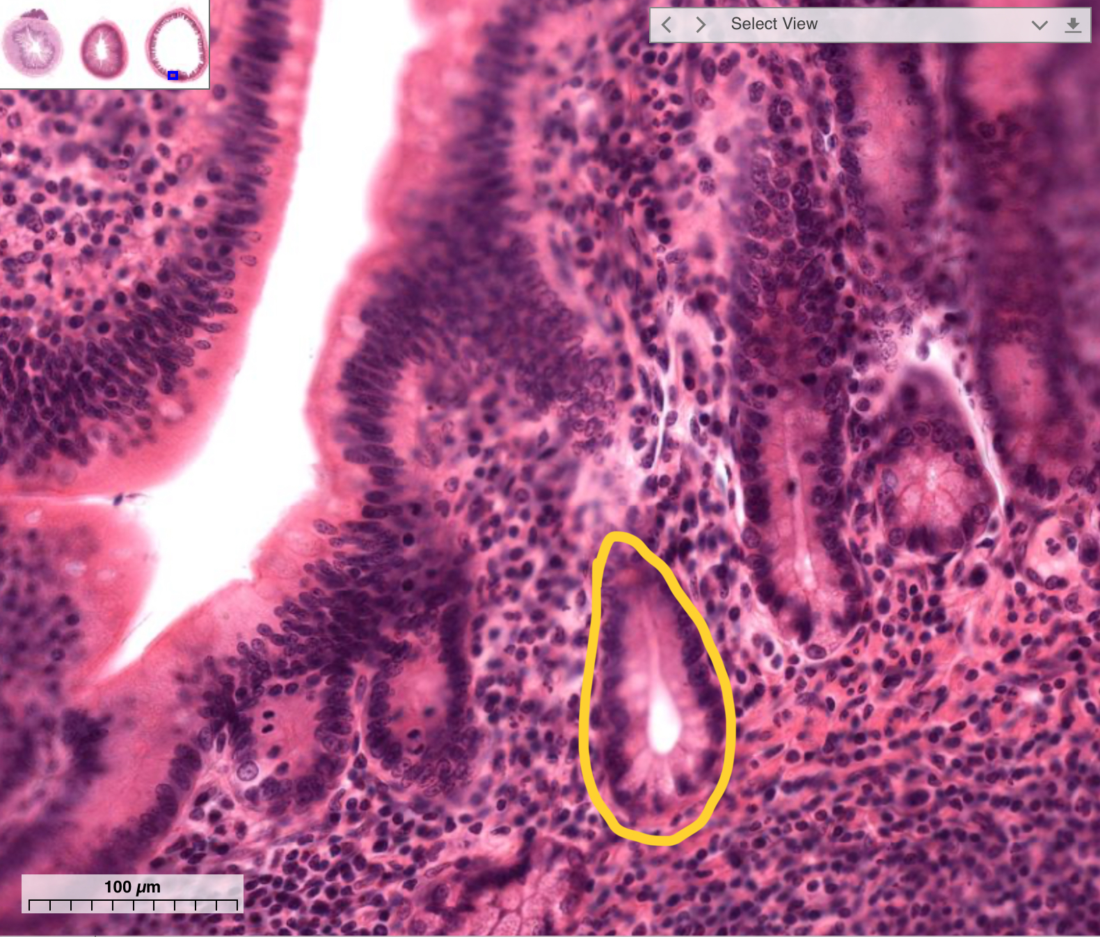 <p>What is this?</p>