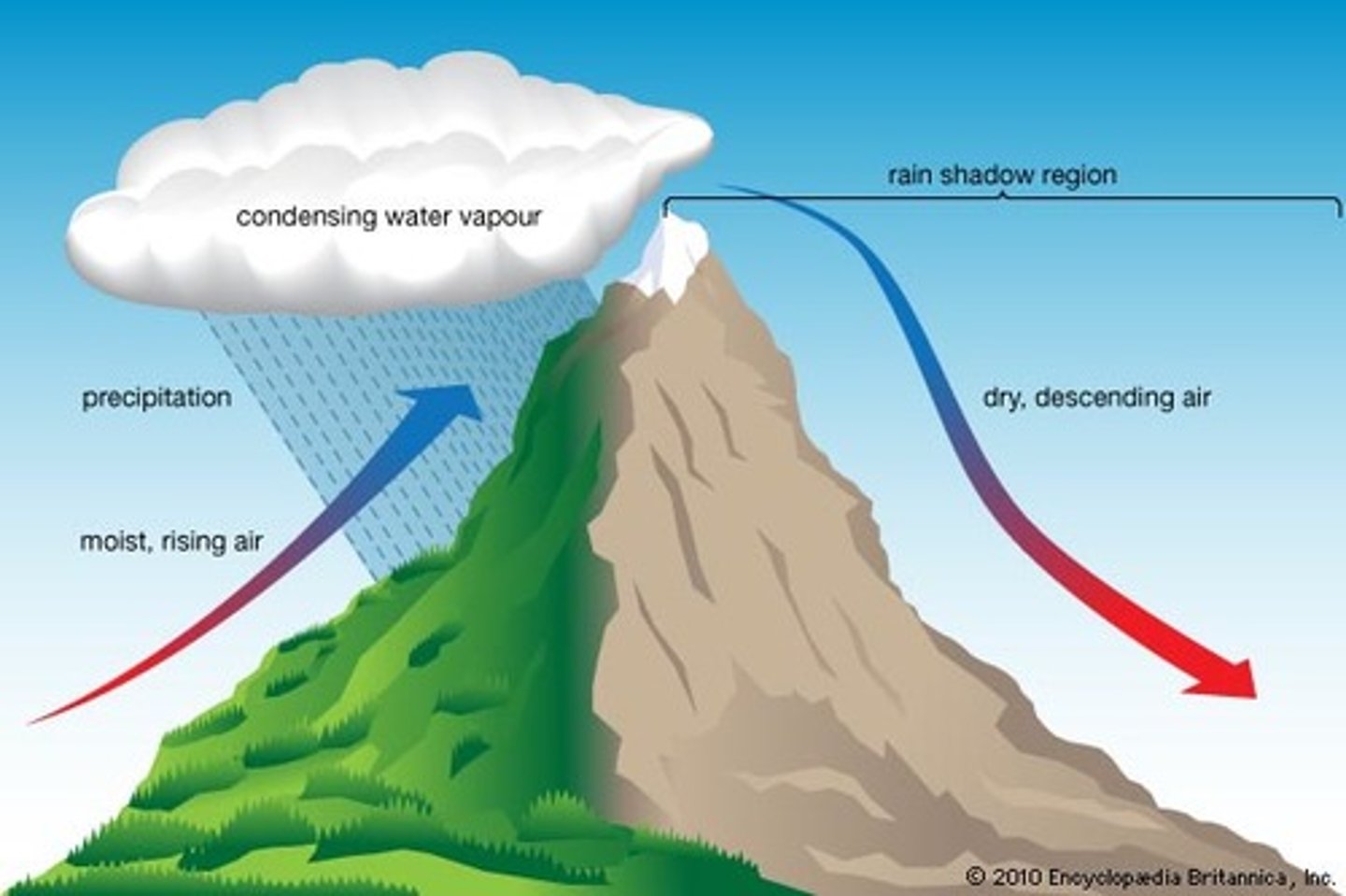 <p>Precipitation falls on the windward side of a mountain range, resulting in lush vegetation &amp; a warm, moist climate on one side, but a desert area on the leeward side.</p>