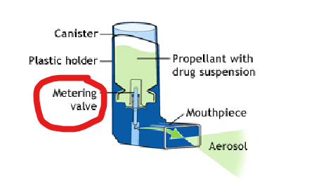 <p>big picture: determine drug dose</p><ul><li><p>Function: to expel contents at the desired rate and in the proper amount</p></li></ul>