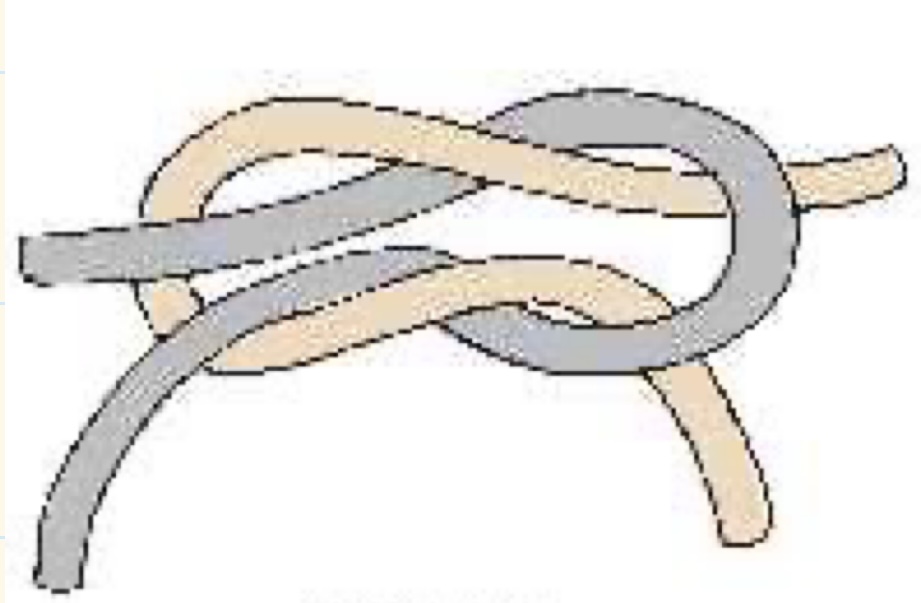 <p>What knot is this?</p>