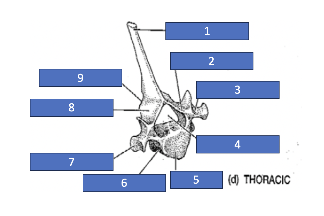 <p>9</p>