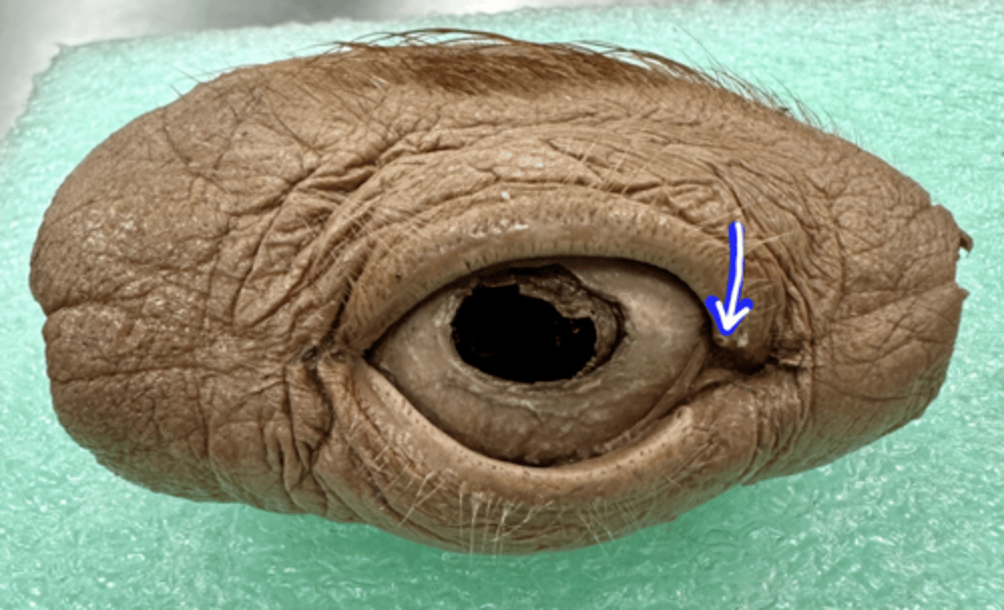 <p>What is this hole?</p>