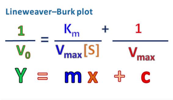 <p>linear equation</p>