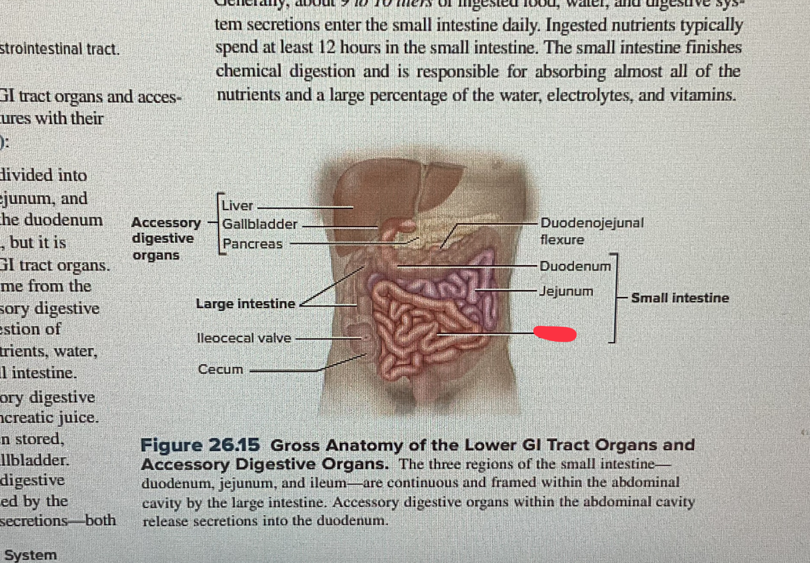 knowt flashcard image