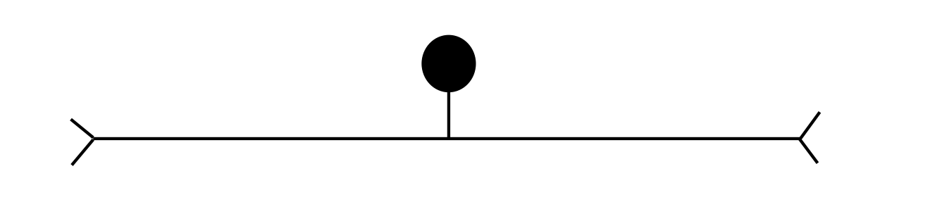 Pseudounipolar Sensory Neurons