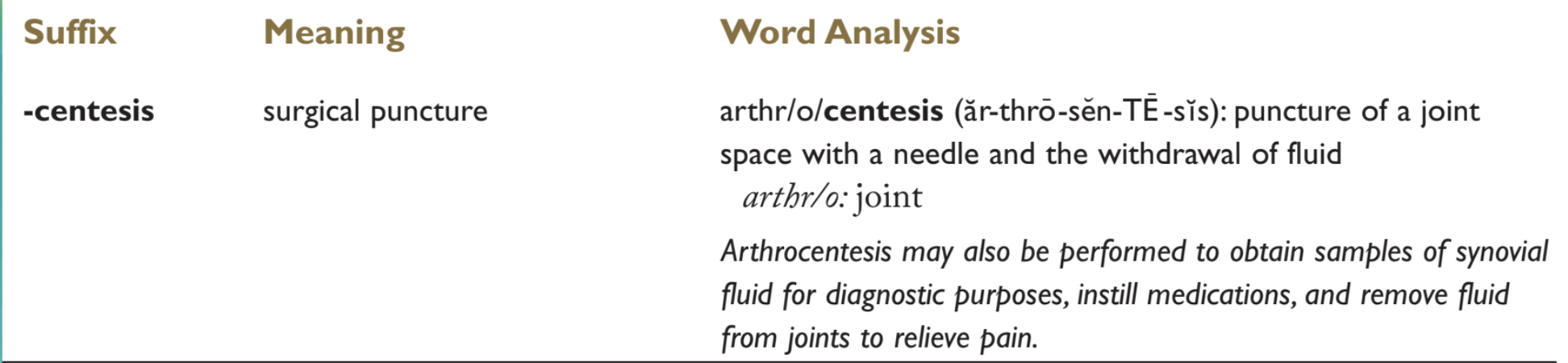 <p>Surgical puncture of a joint (to remove fluid)</p><p>A. Arthroplasty<br>B. Arthrocentesis<br>C. Arthroscopy<br>D. Arthrotomy</p>