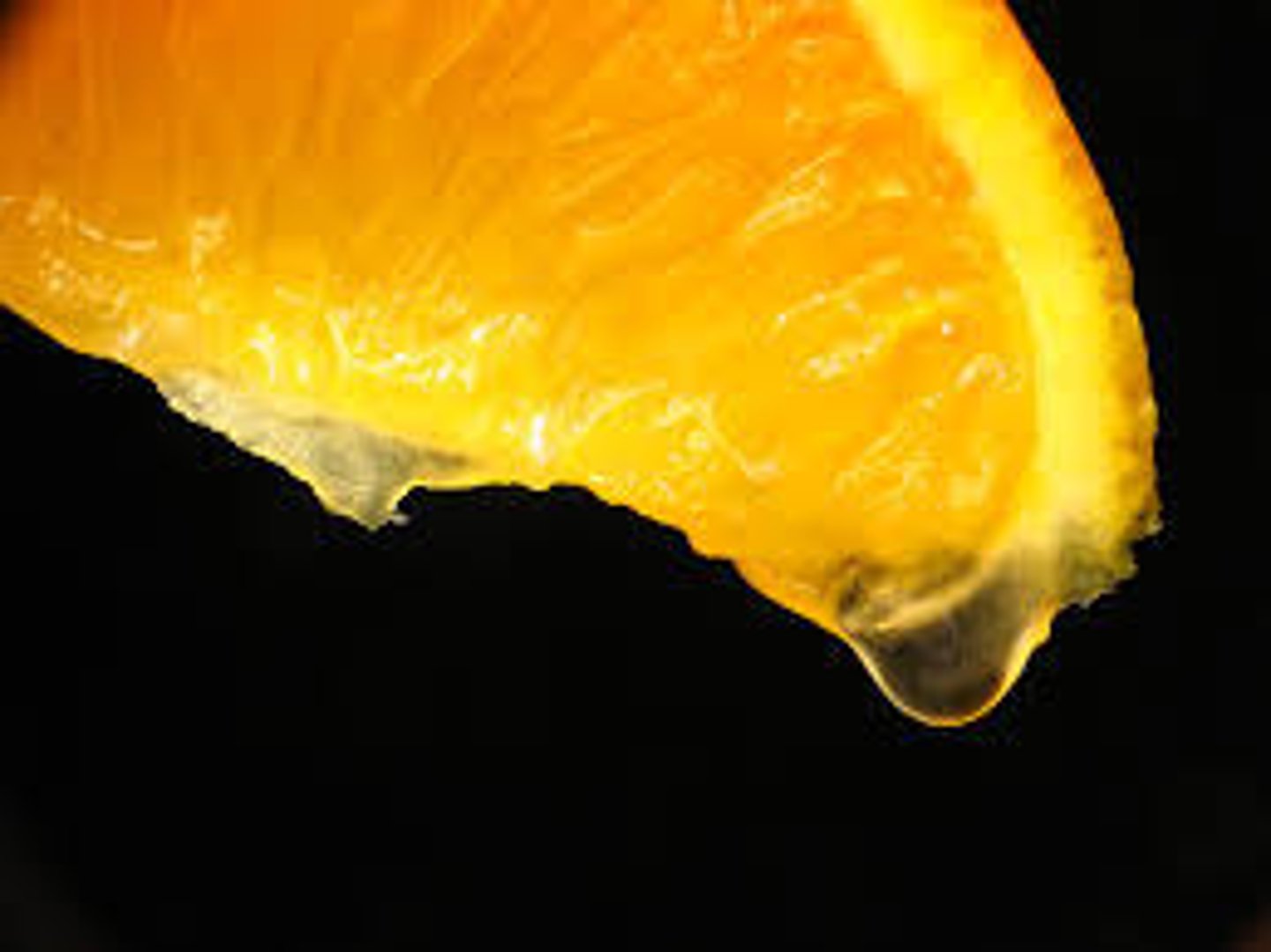 <p>juicy</p>