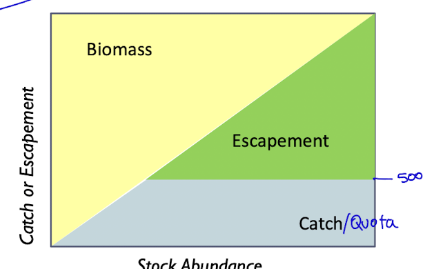 <p>most common</p><p>specifies a fixed harvest level which does not change with population size, so for ex if pop size is large enough then the harvest will be a fraction, but if too small if could be entire population</p>