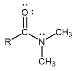 <p>Nitrogen atom single-bonded to a carbonyl carbon and two R groups</p>