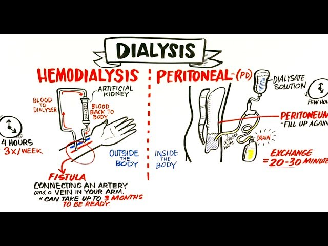 <p>Hemodialysis (HD) and </p><p>Peritoneal Dialysis (PD).</p>