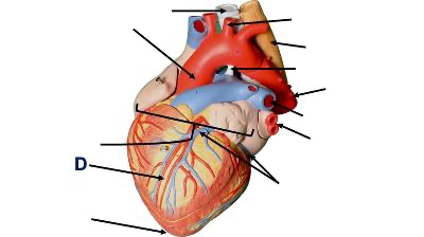 <p>What is this?</p>