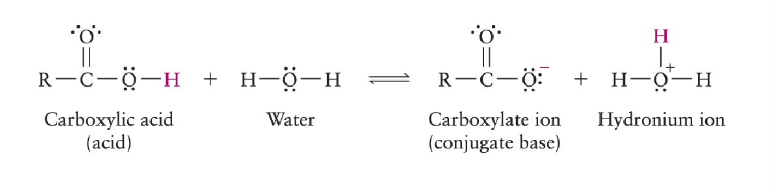 <ul><li><p>carboxylic acids are weak acids</p></li><li><p>they dissociate in water to form carboxylate ions </p></li><li><p>lose H off carboyxlic acid, add to water</p></li><li><p>negative charge on ion, positive on water</p></li></ul>