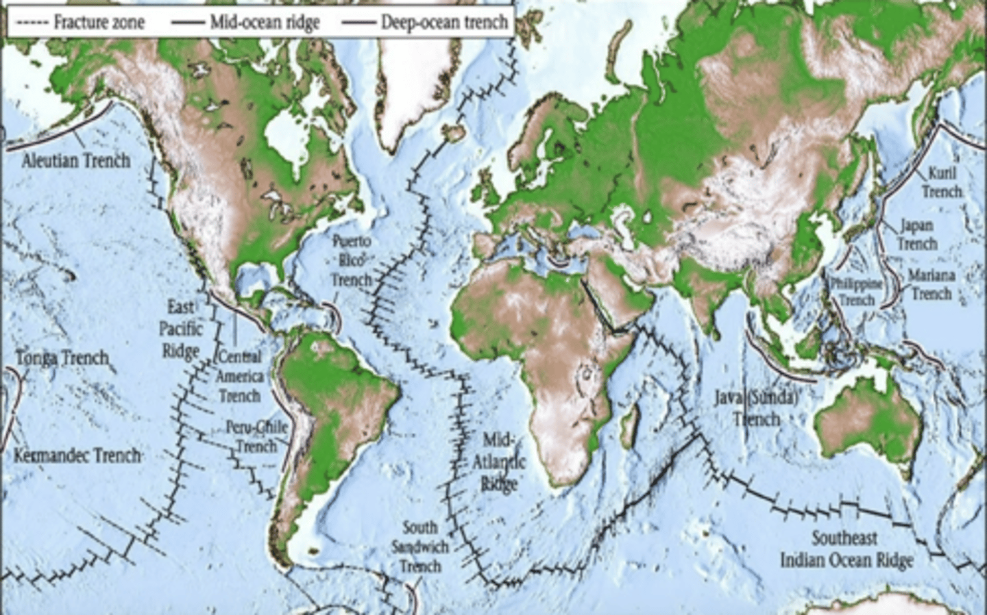 <p>There are 5 oceanic bodies of water and several smaller seas covering approx 72% of the Earth's surface.</p>
