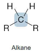 <p>Alkane</p>