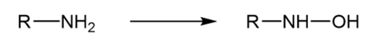 <p>if R group on primary amine does not have H, OH can be added without carbonyl breaking off</p>