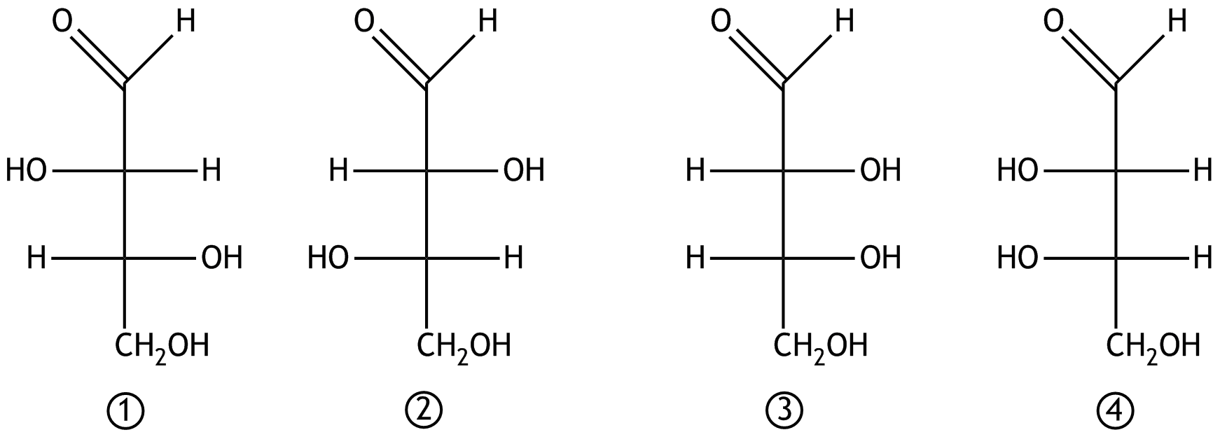<p>31. The following structural formulas (Fischer projections) of four monosaccharides are shown. </p><p>Which statement about the isomerism of the depicted monosaccharides is correct?</p><p>A. Compounds ① and ② are diastereomers.</p><p>B. Compounds ① and ③ are constitutional isomers.</p><p>C. Compounds ① and ④ are epimers.</p><p>D. Compounds ② and ③ are enantiomers.</p><p>E. Compounds ② and ④ are conformers.</p>