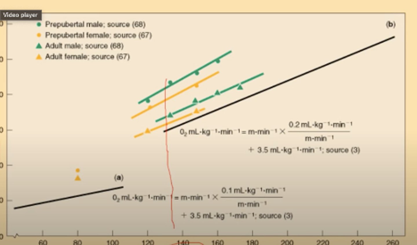 <p>AS treadmill speed increases the energy cost is a direct correlation and increases</p><p>Prepubertal males at any given movement speed you can see that children have a higher energy cost at moving at the same speed as adults. Kids have poorer movement economy than adults.</p><p>Males always spend more energy per step, adult males use more than adult females, boys use more energy than girls</p>