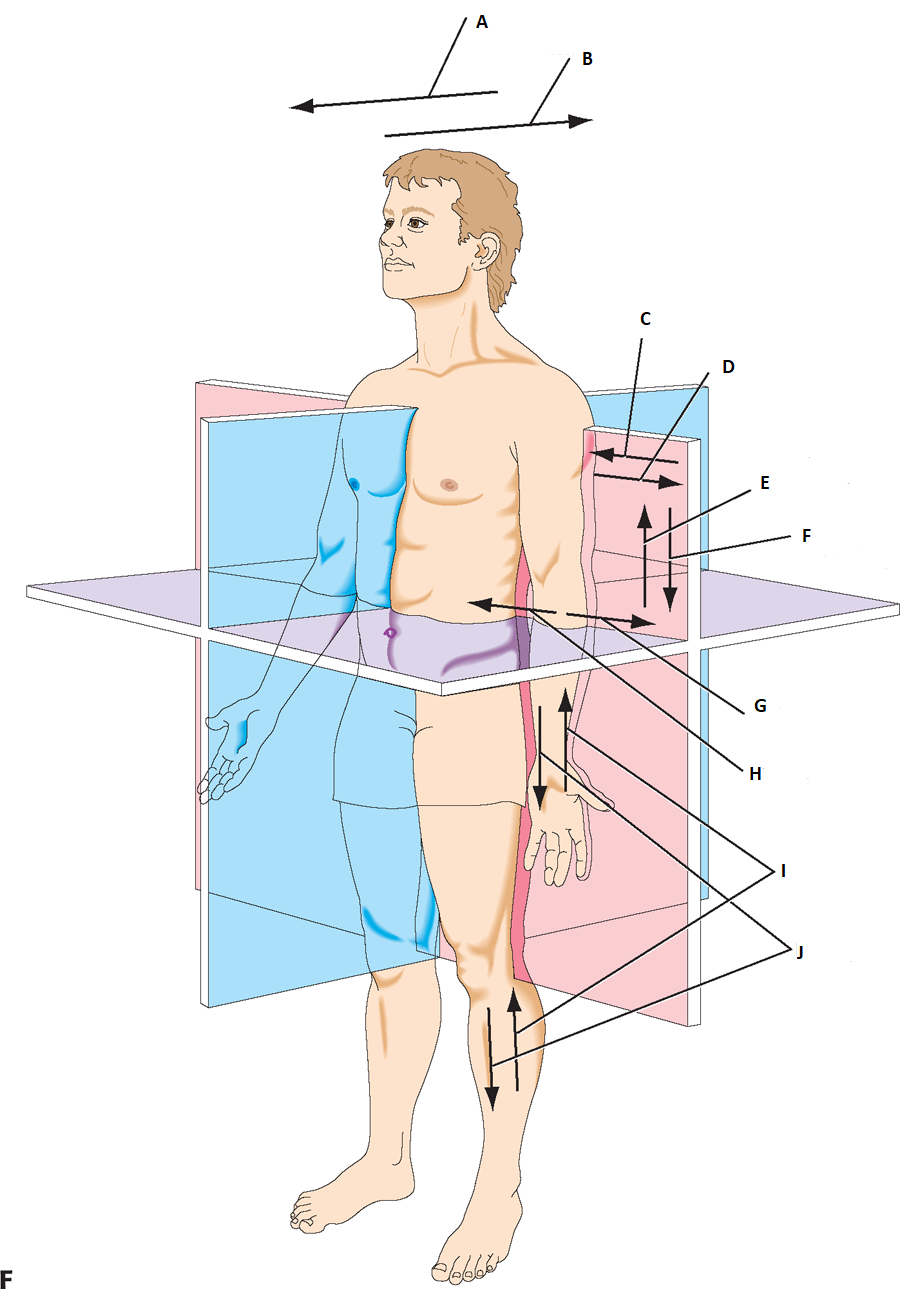 <p>label I &amp; J</p>