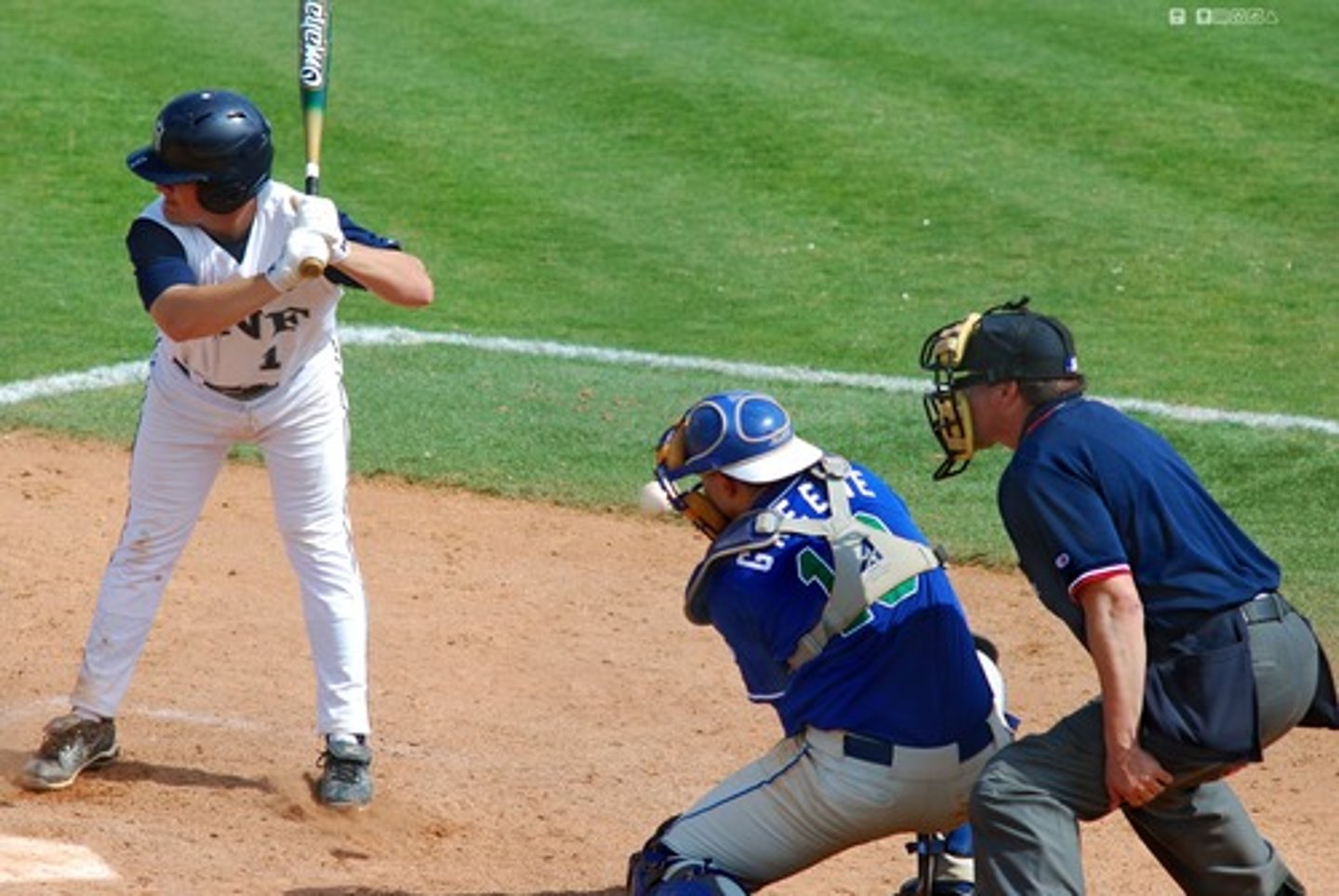<p>to play baseball</p>