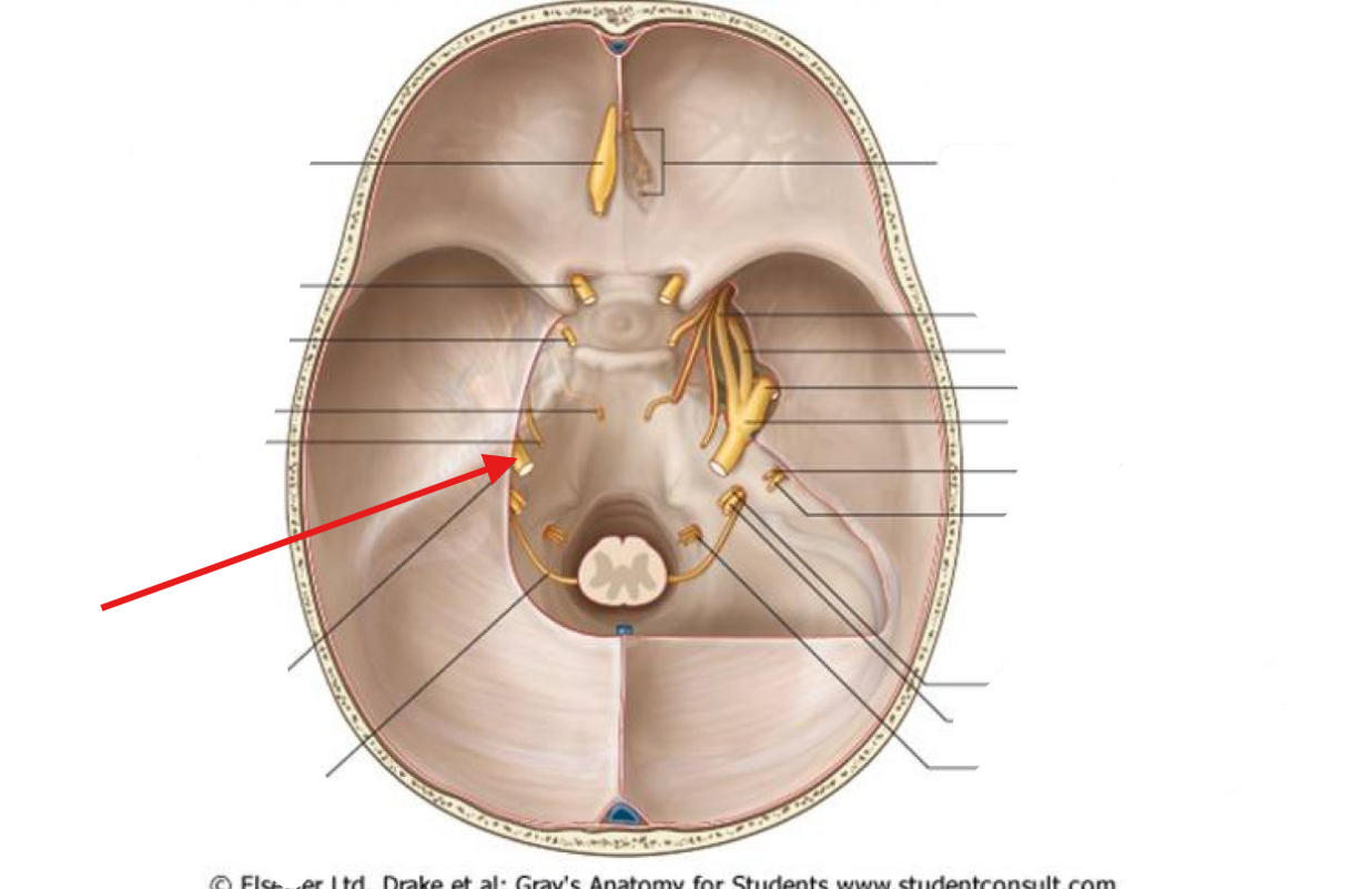 <p>What is this structure?</p>