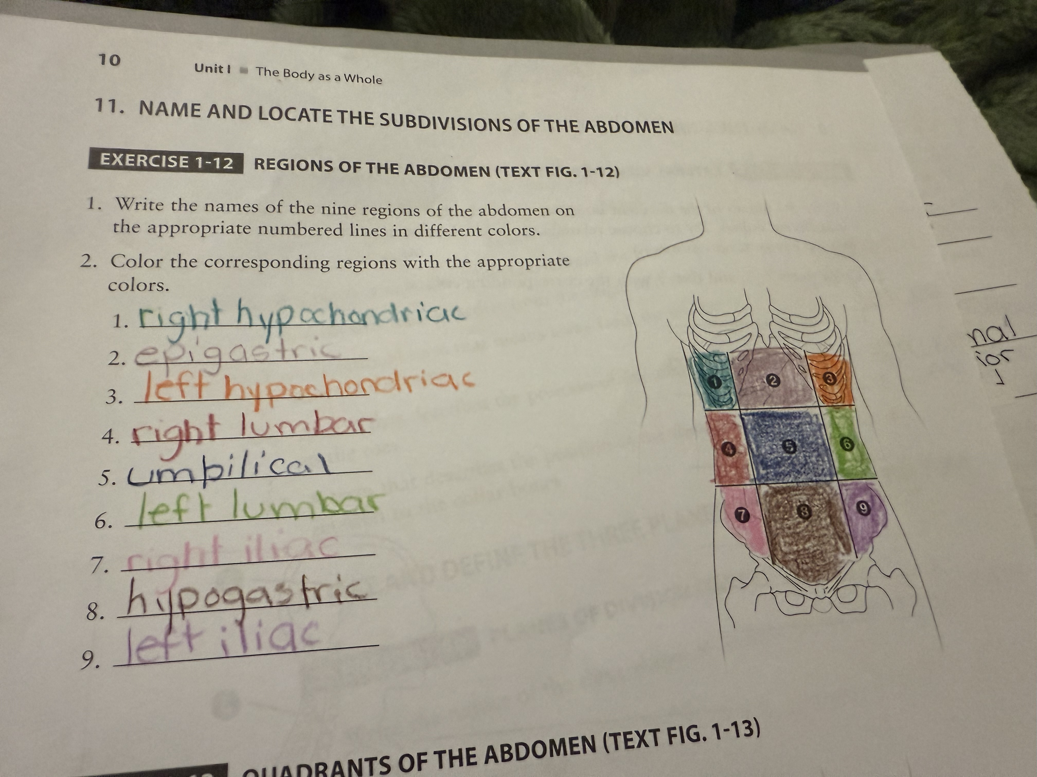 <p>Term 7</p>