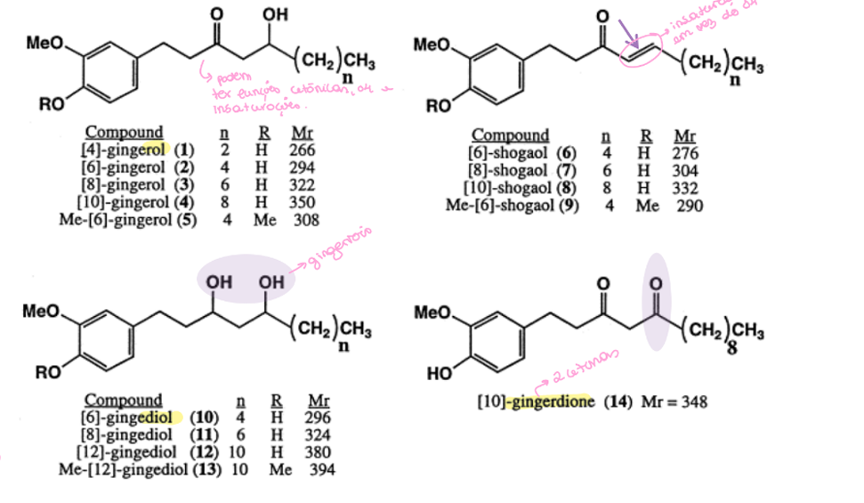 <p>Semelhante à curcumina mas tem apenas um anel aromático, ligado a uma cadeia de 7 carbonos. Pode tbm ter dicetonas (gingerdionas) ou cetona com oh (gingerol) ou dialcoois (gingenois) ou insaturação em vez da cetona (shogaol).</p><p>Uso: dispepsia, antiemético (motilidade gastrointestinal)</p><p>Contraindicado: crianças, lactantes e grávidas. </p>