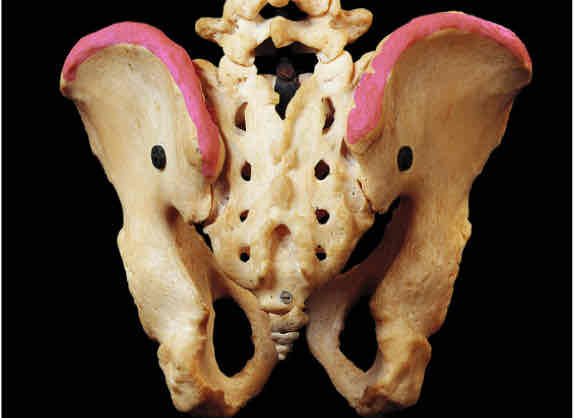 <p>Identify this</p>