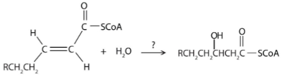 <p>What type of reaction is shown here?</p><p>A. Oxidation-reduction</p><p>B. Hydration</p><p>C. Cleavage</p>
