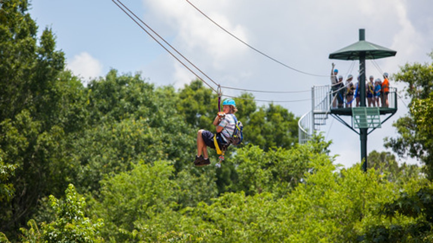 <p>to go ziplining</p>