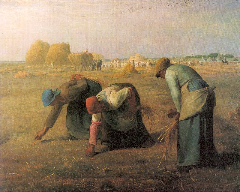 <p>The gleaners</p>