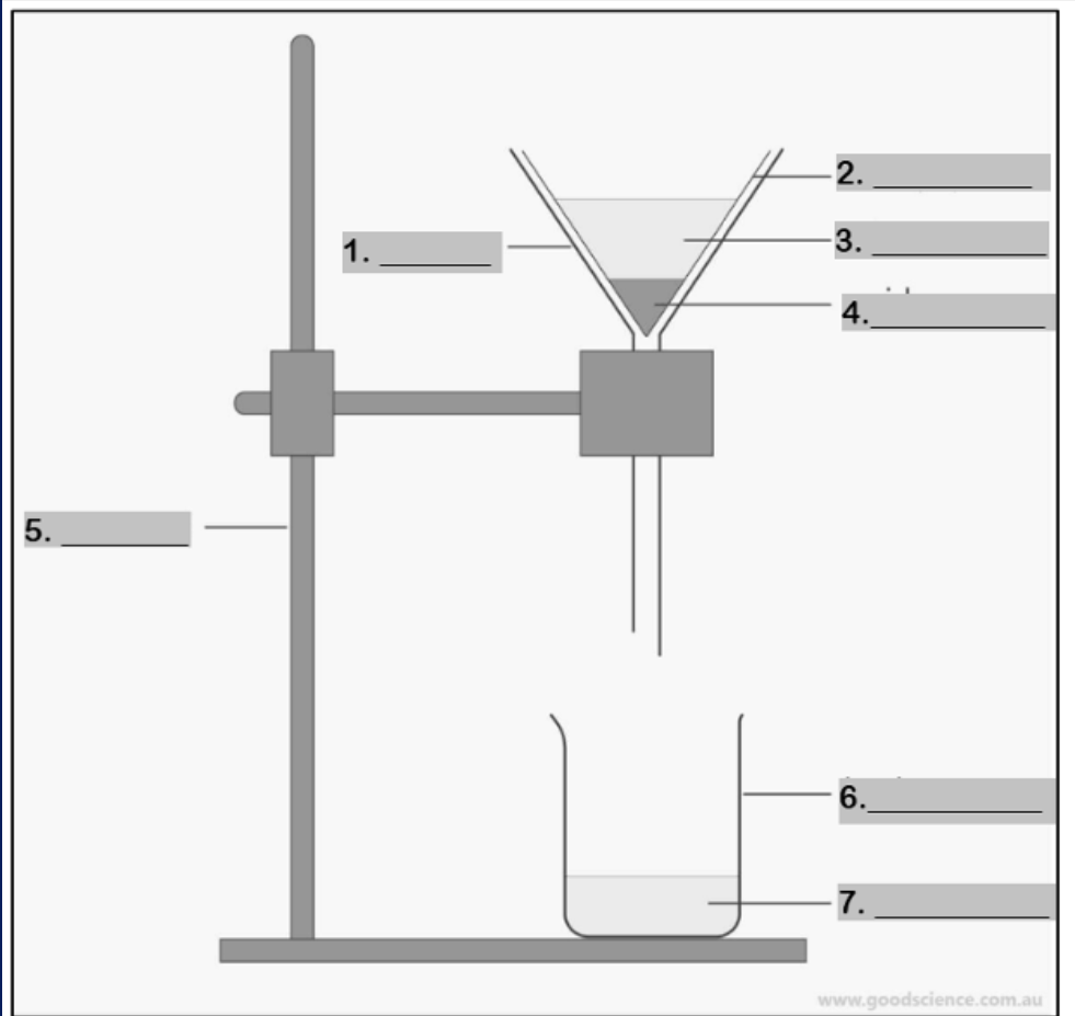 <p>Number 7</p>