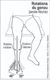 <p>Rotation du genou</p>