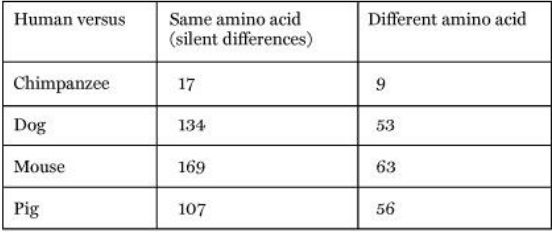 - silent changes are more common then replacement changes 