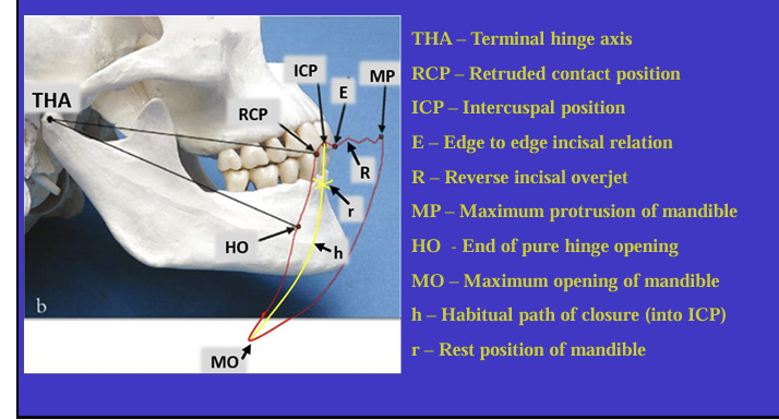<p>What is the ICP?</p><p>it can also be known as?</p>