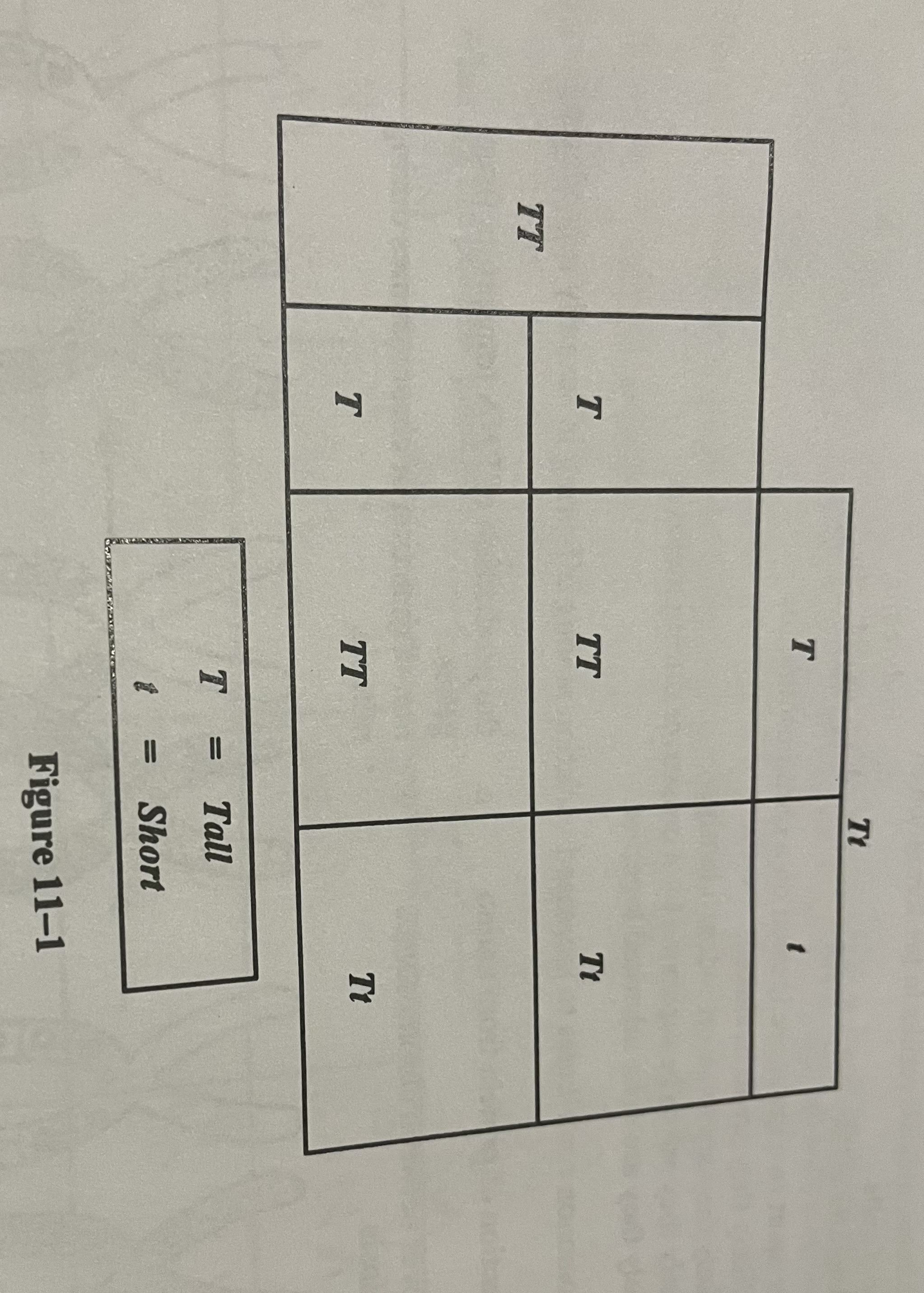 <p>In the punnet square shown in Figure 11-1, which of the following is true about the offspring resulting from the cross?</p>