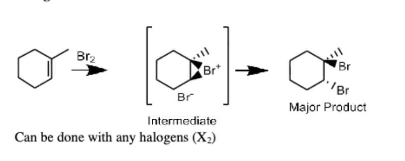 <ul><li><p>Br<sub>2</sub>, Cl<sub>2</sub></p></li><li><p>Anti/Trans</p></li></ul><p></p>