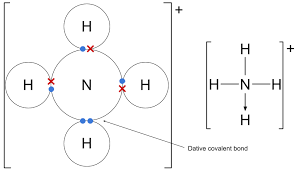 <p>Empty 1s orbital of H+ overlaps with orbital pf N which contains lone pair</p>