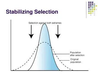 <p>occurs when extreme variations are selected against, and intermediate are favored </p>