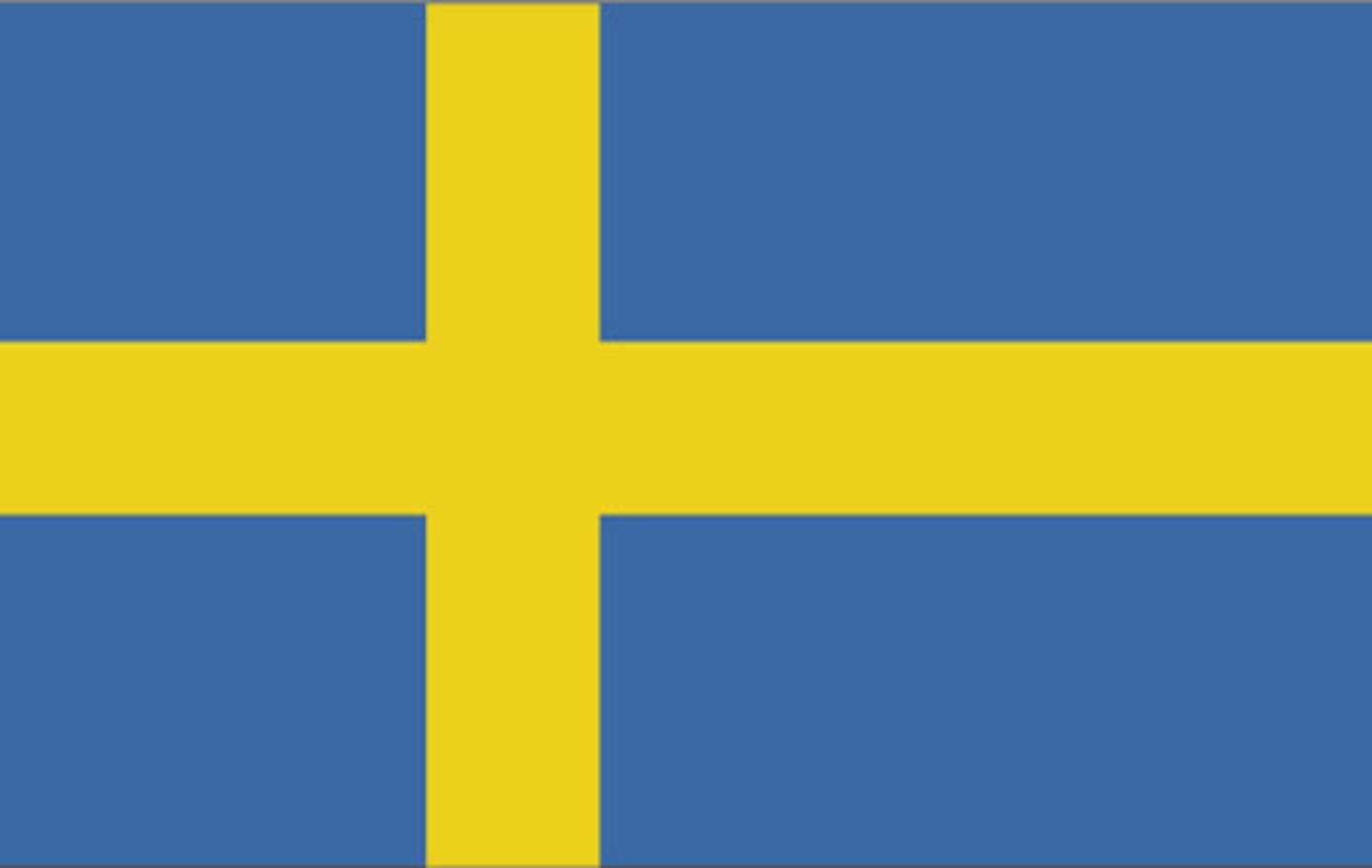 <p>You don't speak Swedish.</p>