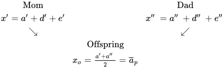 <p>Only factor that parents transmit to their offspring is their additive deviation. We can estimate the offspring’s phenotypic deviation x<sub>off </sub>as the mean of the additive deviations of its parents:</p><p>x<sub>off</sub> = (a’ + a’’) / 2</p><p>The additive deviation of the parents can be estimated as â = h²x, so:</p><p>x<sub>off</sub> = (h²x’ + h²x’’) / 2 = h² (x’ + x’’)/2 </p><p>The offspring will have its own dominance and environmental deviations. However, these cannot be predicted. Since they are deviations, they will be zero on average over a large number of offspring.</p>