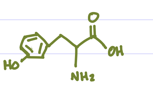 <p>Is this Amino Acid Polar or Non-polar?</p>