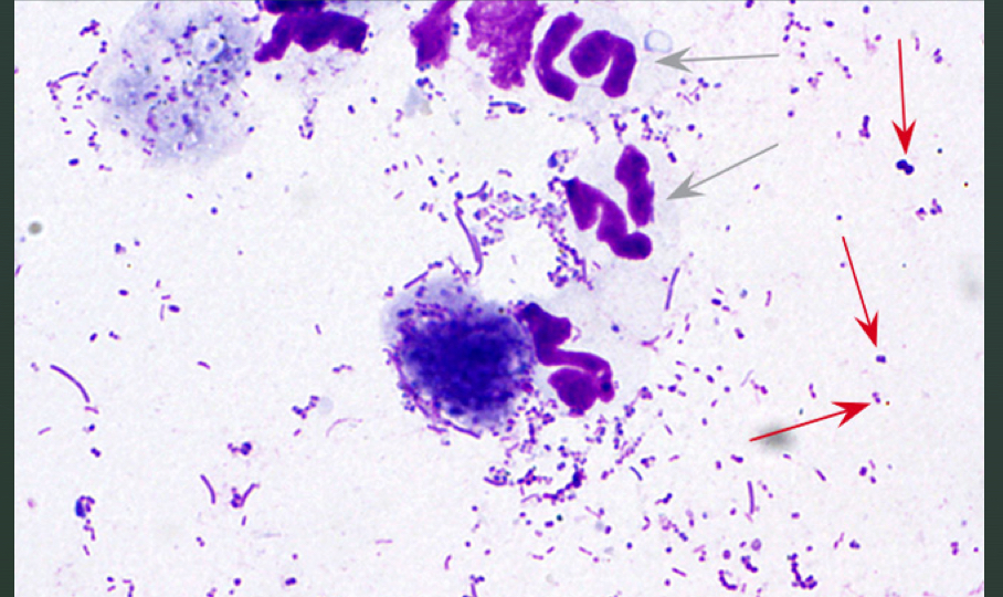 <p>Who’s all at this party</p>