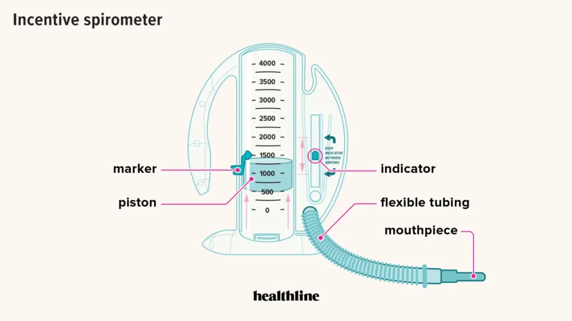 <p><span style="font-family: Calibri, sans-serif">Spirometer– is the apparatus<br>–volume indicator scale</span></p><p><span style="font-family: Calibri, sans-serif">–drum retainer</span></p><p><span style="font-family: Calibri, sans-serif">–floating bell</span></p><p><span style="font-family: Calibri, sans-serif">–water tank</span></p><p><span style="font-family: Calibri, sans-serif">– hose/tube</span></p><p><span style="font-family: Calibri, sans-serif">– single use mouthpiece</span></p>