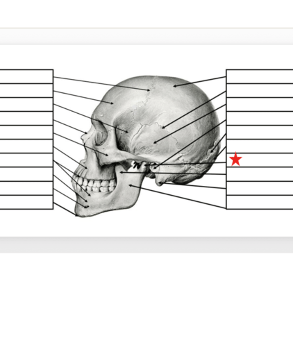 <p>What is this?</p>