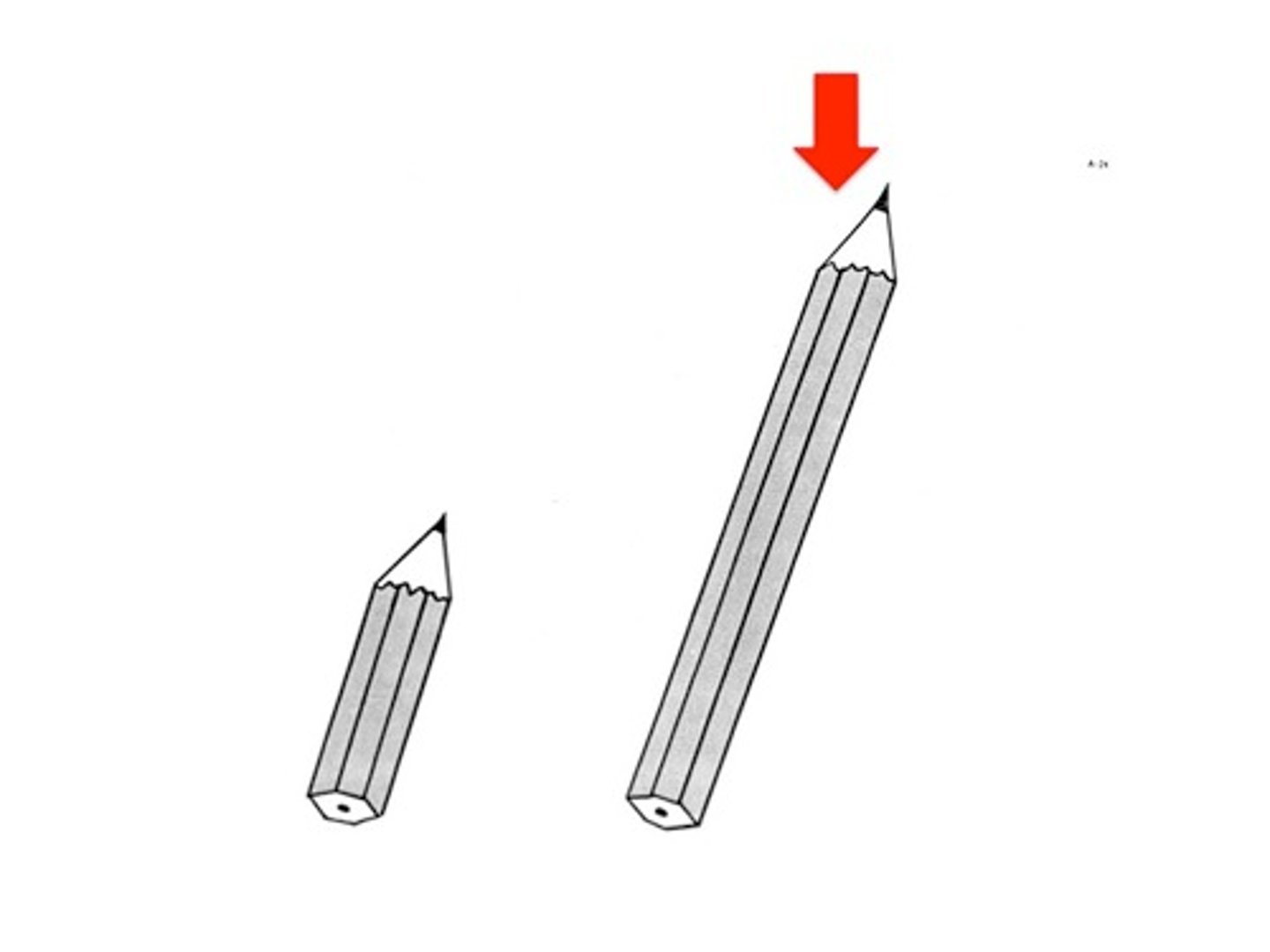 <p>long [length]</p>