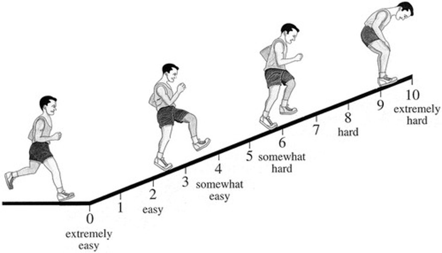 <p>scale used for children for rating of perceived exertion</p>