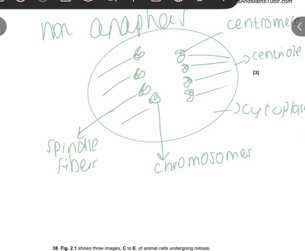 <img src="blob:null/8edd67dd-d16e-483d-afc4-fe38afb9a1db" width="1000" height="823"><p></p>