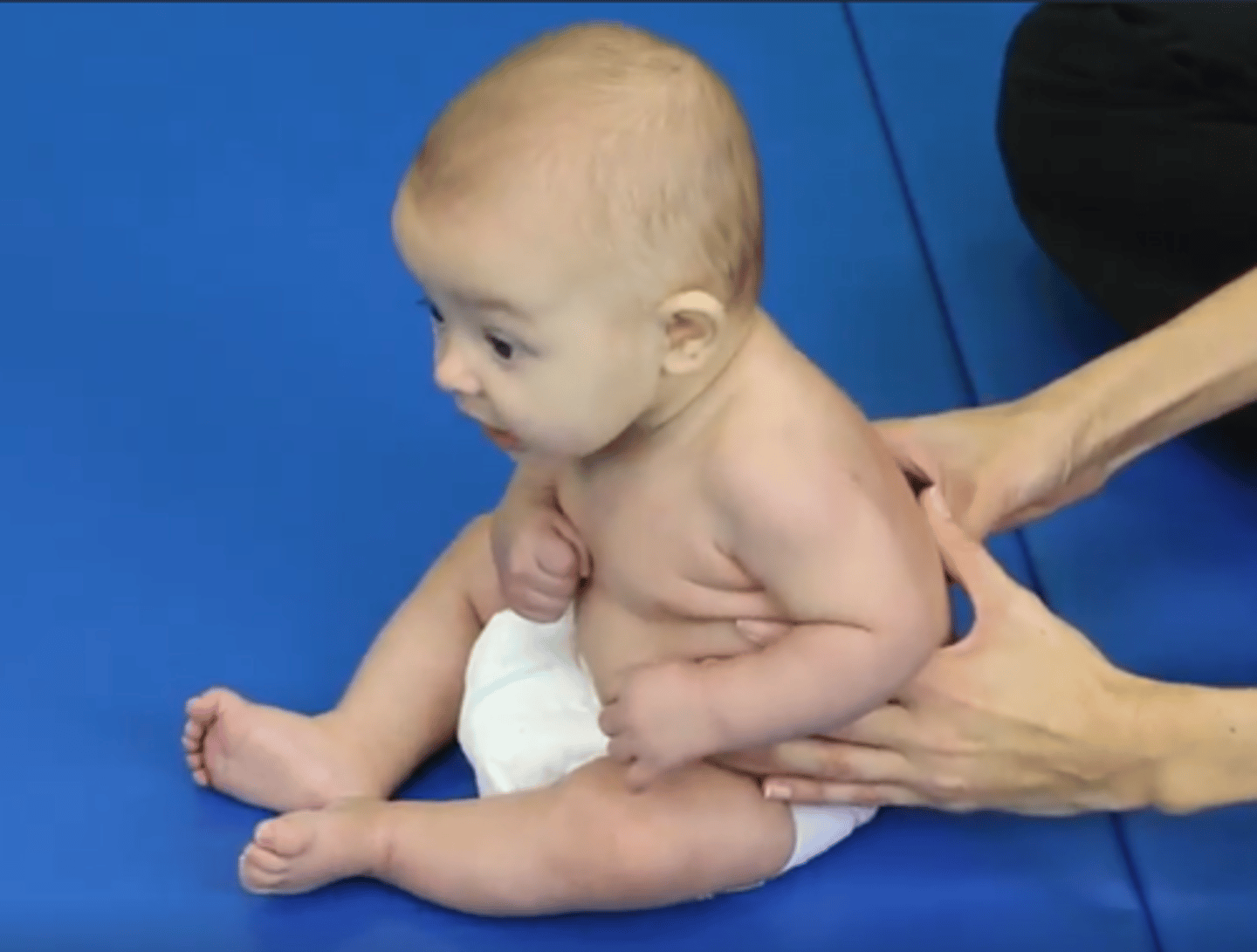 <p>Spine is flexed, and head is forward of bobs</p>