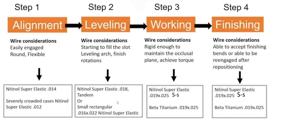<ol><li><p>Alignment - Easily engaged, round, flexible</p></li><li><p class="has-focus">Leveling - Starting to fill slot, leveling arch, filish rotations </p></li><li><p class="has-focus">Working - Rigid enough to maintain occlusal plane, achieve torque</p></li><li><p class="has-focus">Finishing - Able to accept finishing bends or be reengaged after repositioning</p></li></ol><p></p>